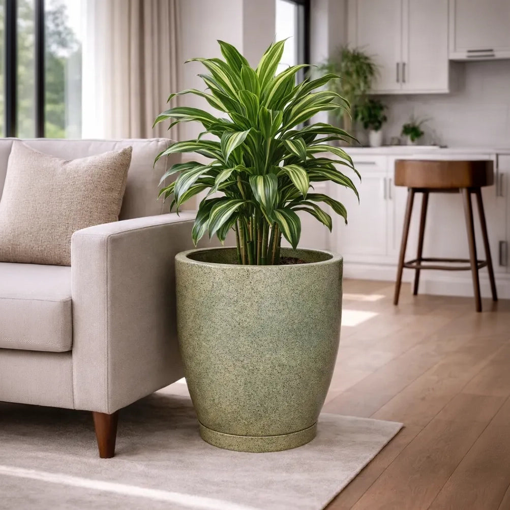 Vaso Planta Casa Jardim Decoração Redondo 5 Litros Areia