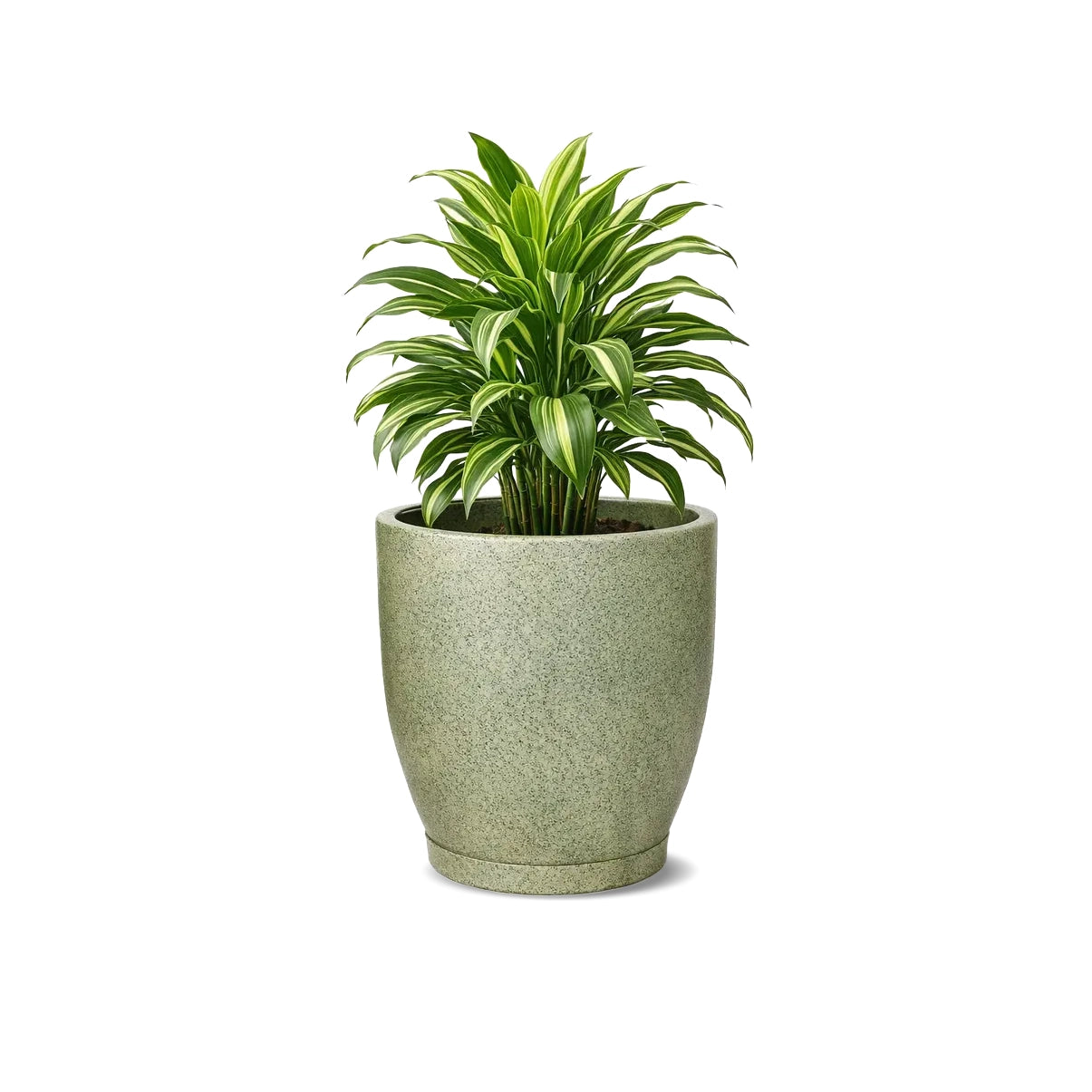 Vaso Planta Casa Jardim Decoração Redondo 5 Litros Areia