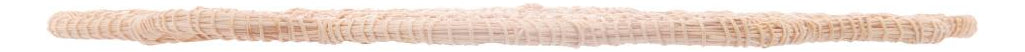 2 Descansos De Panela Lyor Palm De Fibra Natural Flor 20cm Natural Flor